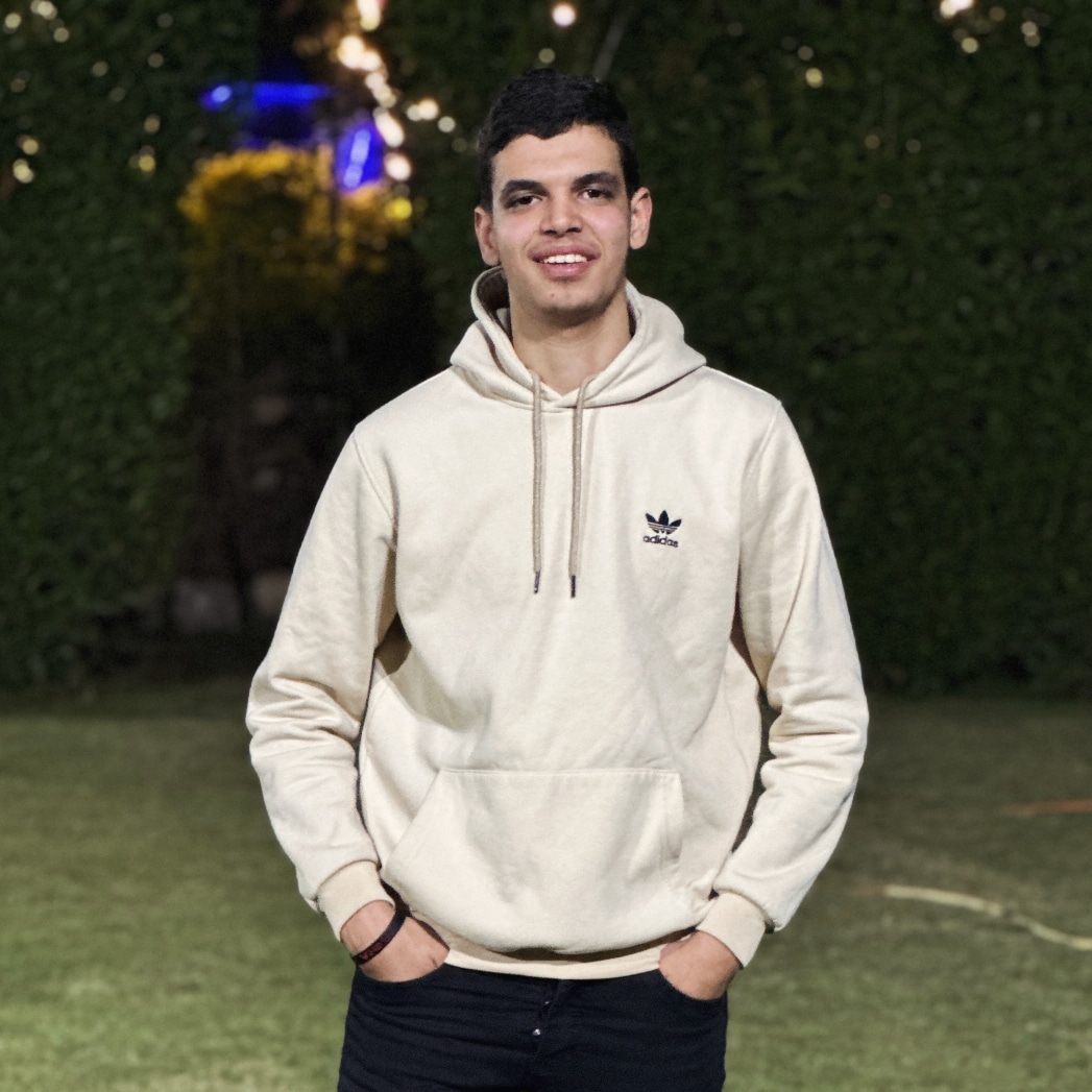 Ahmed Abd Elmeneam Elsayed